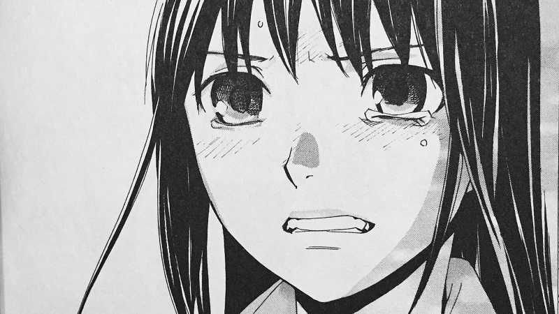 Illustration for article titled Noragami Vol. 13 & 14 - Manga Review